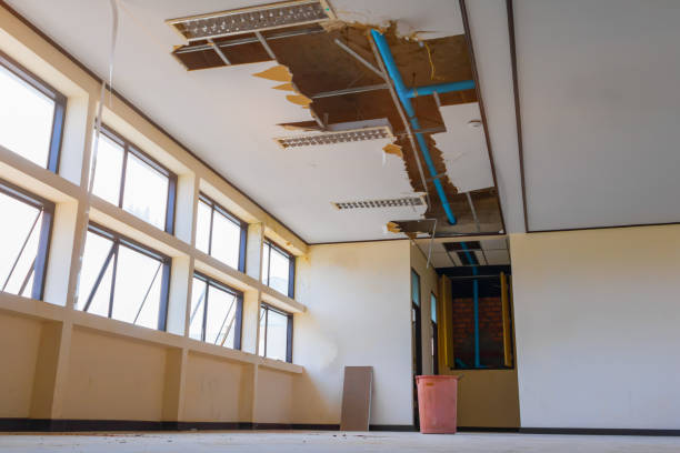 Best Water damage cleanup near me  in Locust, NC