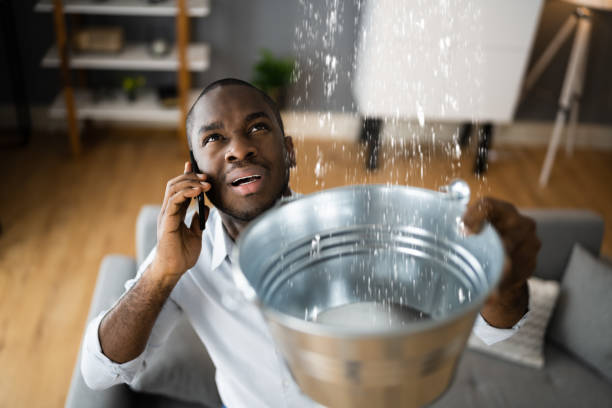 Best Ceiling water damage repair  in Locust, NC