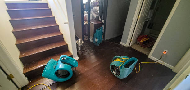 Best Basement water damage restoration  in Locust, NC