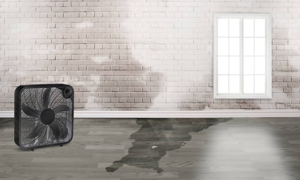 Trusted Locust, NC Water damage restoration Experts