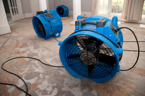 Best Water damage restoration cost  in Locust, NC