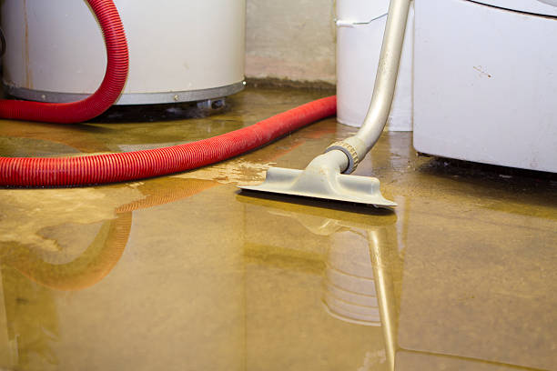 Best Flooded house restoration  in Locust, NC