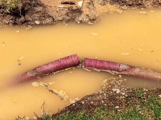  Locust, NC Water damage restoration Pros