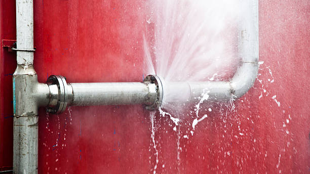 Best Carpet water damage restoration  in Locust, NC